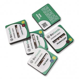 Семена конопли купить сорт Tangie'matic Auto Fem. Семена конопли купить сорт Tangie'matic Auto Fem.