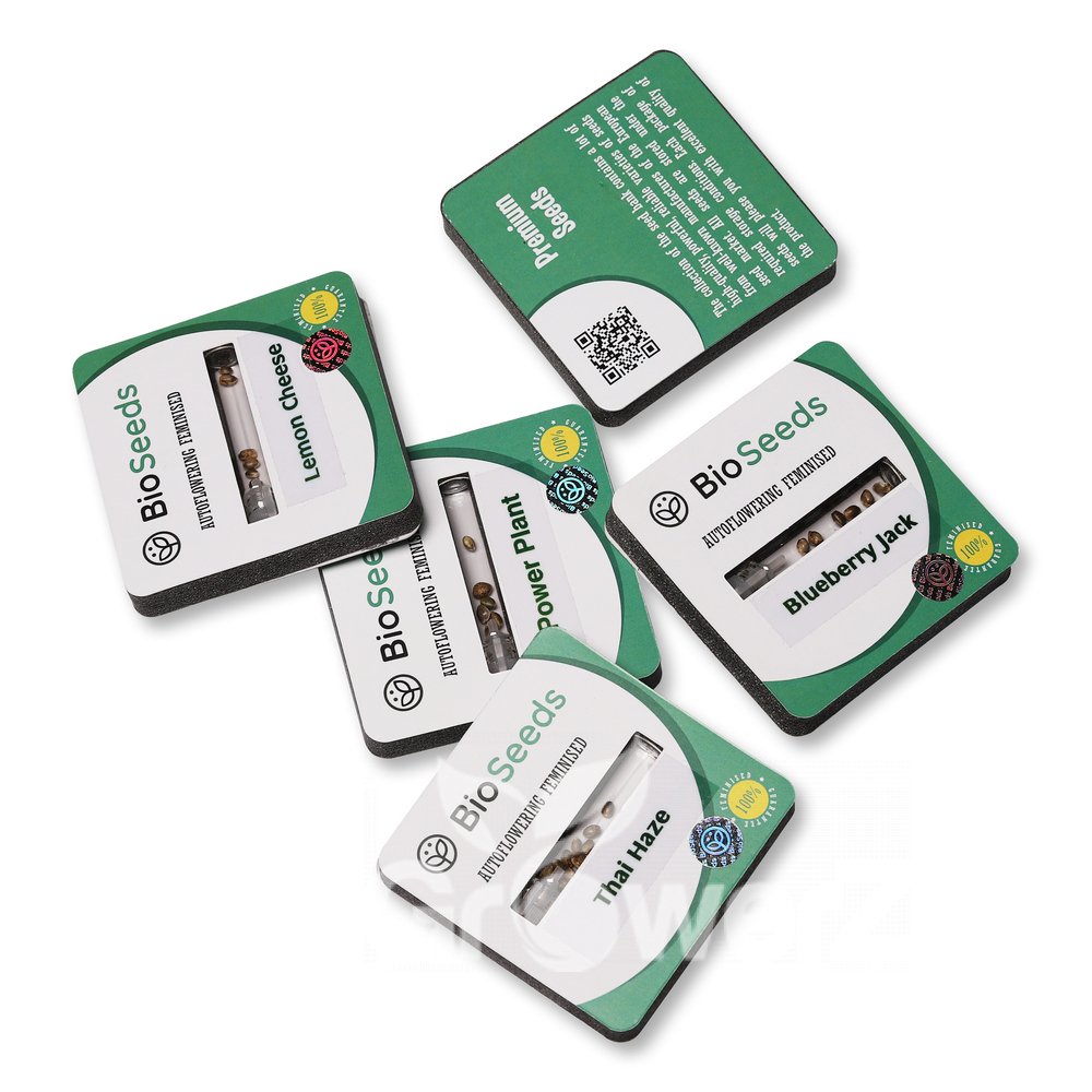 Indica Mix #1 Auto Fem.