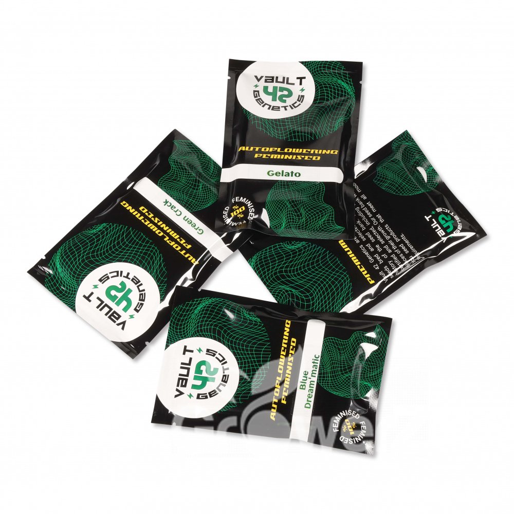 Wedding Glue Auto Fem.