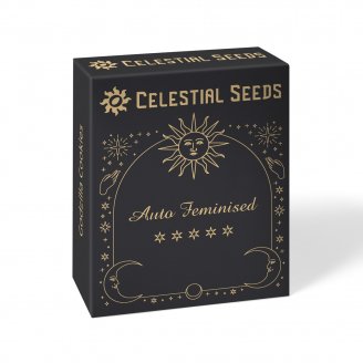 Семена конопли купить сорт Bruce Banner Auto Fem. Семена конопли купить сорт Bruce Banner Auto Fem.