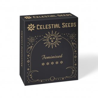 Семена конопли купить сорт White Widow Fem. Семена конопли купить сорт White Widow Fem.